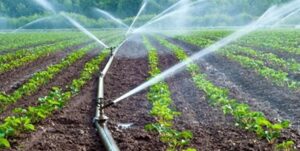 دانش‌بنیان‌ها زیرساخت‌های علمی پایش آب و خاک را در راستای کمک به گسترش کشاورزی توسعه دادند