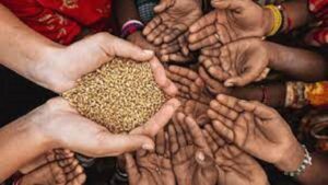 فائو: محدودیت صادرات، بحران جهانی غذا را تشدید می‌کند